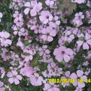 선산대로10-10 이미지