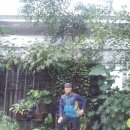 대전하늘정원 이미지