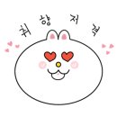 용인대인성태권도 이미지