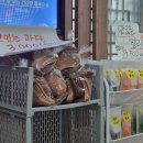 옛날손칼국수 이미지