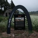 더 테쉬폰 이미지