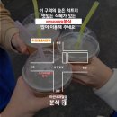 미선네과일 이미지