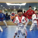 청솔초아 태권도장 이미지