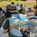 구갈레스피아 이미지