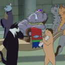 캠핑 앨리스 이미지