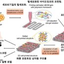 지지프린팅