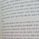 선자농장2 이미지