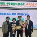 대정유통 네이버블로그