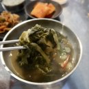 촌놈시래기국