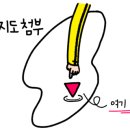 향수1번가 이미지