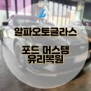 나성동_포드자동차 앞 | 파주자동차유리복원 포드 머스탱 앞유리 돌빵 작업 후기