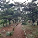 아일랜드펜션민박 이미지