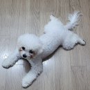 UR(의정부시)-[시민로]-하-33 | 22. 9. 3주 차 일상 모음집: 여름인 척 굴던 가을날, 원숩이네 성수 데이트
