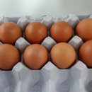 철원동물약품 이미지