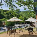 모어그린 이미지