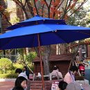 마로니에시근린공원 이미지