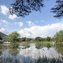 틀모산 도시숲 이미지