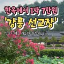 운정길 | [공지] 강릉 성수기 가성비 숙소｜선교장 행랑채 주말 4인 7만원 리얼후기