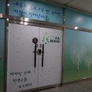 편백수소테라피