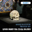 캘리그라피2(야간) | 데이미언 허스트 전시 후기 국립현대미술관 서울에서 만난 삶과 죽음의 이미지