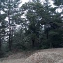 죽성1리경로당 이미지