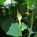 궁말농장 이미지