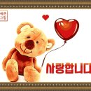 홍카 이미지