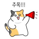 마조치킨 수원점