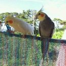 여름농장 이미지