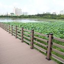 수원-1368 이미지