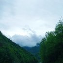 도사곡길 이미지