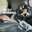 서일사우나 | 맥시코시 미카프로에코 카시트, 내돈내산 후기 (베이비하우스 일산점)