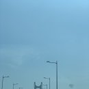 서부사랑 이미지