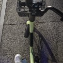 곡내 | 250323 요네즈켄시 콘서트에 가다...