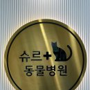 봄이든 동물병원 이미지