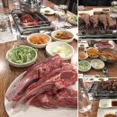 호가양꼬치 이미지