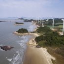 엠티브이11로 이미지