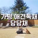 비담채 | 경기도 가평 담담채,애견독채펜션 프라이빗한 단독마당(강아지 숙소만족 후기)