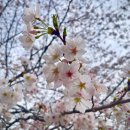 브라더공인중개사사무소 이미지