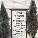 정원 | 통영 대형카페 아르세 사계절 정원, 내돈내산 후기