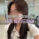 트리드헤어 | 세종 나성동 트리드헤어에서 레이어드컷(+앞머리) 하고 온 후기 | 여자 머리 커트 잘하는 1인 미용실 추천