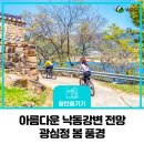 광심정 | 아름다운 낙동강변 전망이 좋은 함안 광심정 봄 풍경