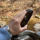 주식회사 반석 | 춘천 청평사 오르막길