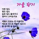 살면서 가장 아름다운 사람은 이미지