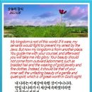 오늘의양식 네이버블로그