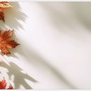 애프터눈성형외과의원 이미지