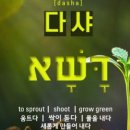 T0011 이미지