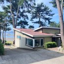 두바다찬솔 이미지