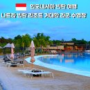 동남아 | 인도네시아 빈탄 여행 추천｜나트라 빈탄 라군 수영장 후기 (동남아 감성 리조트)