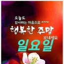스스와 이미지